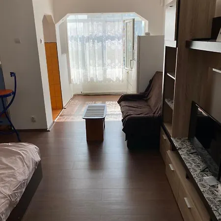 Garsoniera One Bedroom Apartment *