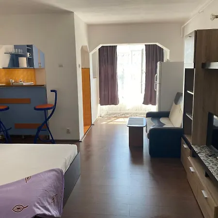 Garsoniera One Bedroom Apartment