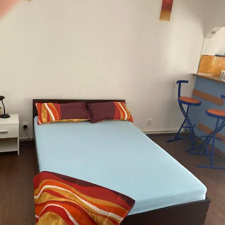 Apartment Garsoniera One Bedroom